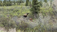 IMG-20260609-WA0009