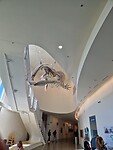 20260611_124219