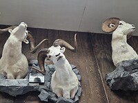 20260612_095843