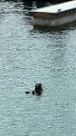IMG-20260617-WA0017
