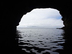 DSC03552