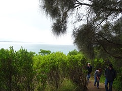 DSC03592