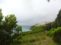 DSC03593