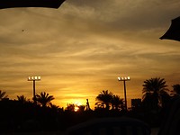 DSC02698