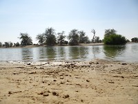 DSC02601