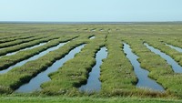 DSC01542