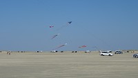 DSC01564