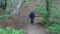 Wandelend door het bos.