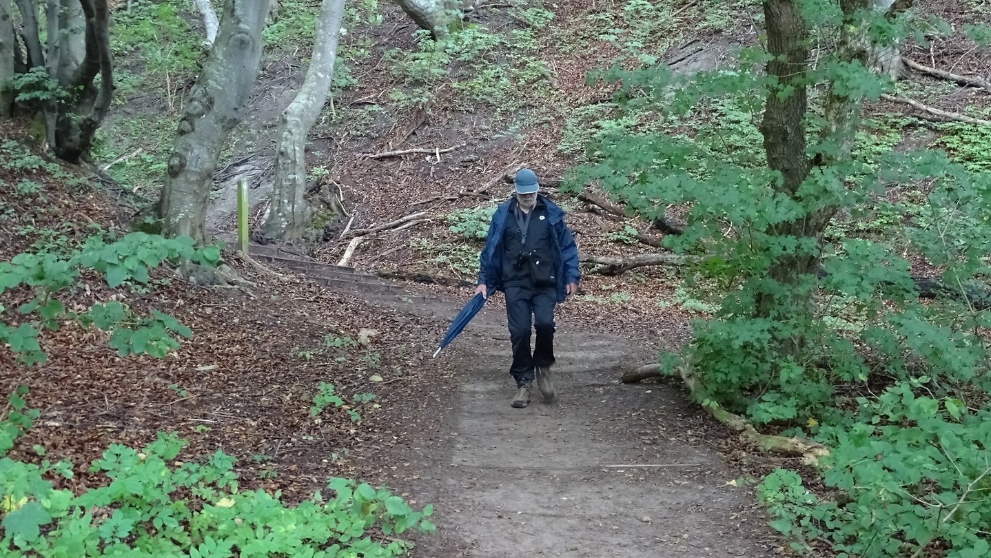 Wandelend door het bos.
