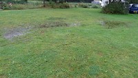 DSC02274