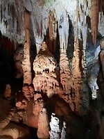 grotten van Postojna