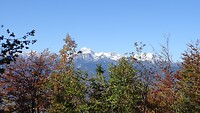 DSC02748