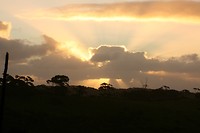 Uitzicht vanuit Kangaroo Beach Resort
