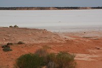 IMG_2970