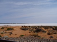 DSC01523
