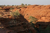IMG_3063