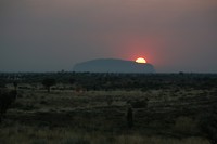 IMG_3175