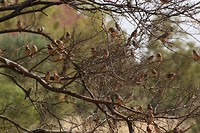 IMG_3268
