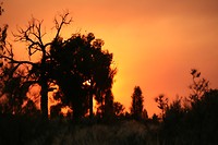 IMG_3320