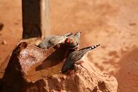 IMG_3264