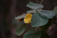 IMG_3364