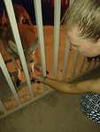 IMG-20170920-WA0014