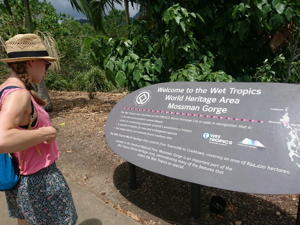 Mossman gorge, Daintree