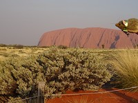 Uluru