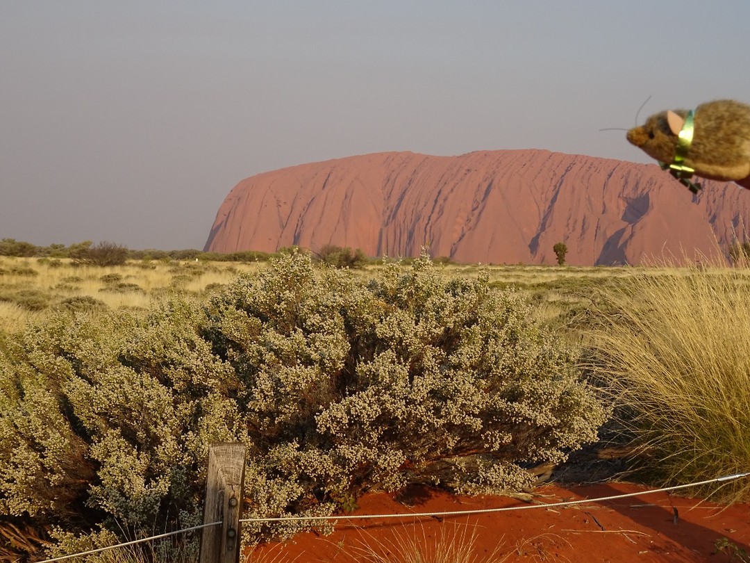 Uluru