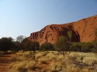 DSC02006