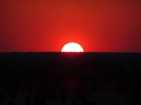 DSC01753