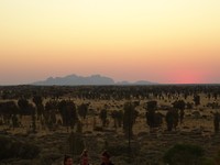 DSC01758