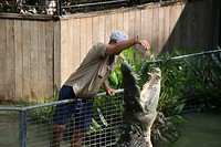 IMG_3518