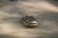 IMG_3547