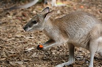 IMG_3605
