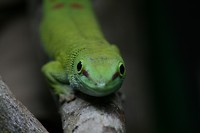IMG_3662