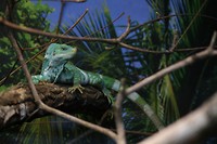 IMG_3693