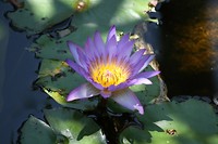 IMG_3752