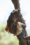 IMG_3760