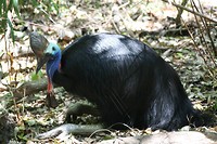 IMG_3786