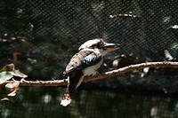 IMG_3792
