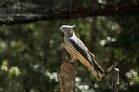 IMG_3796