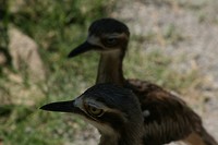 IMG_3798