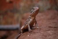 IMG_3803