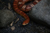 IMG_3827