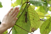 IMG_3841