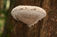 IMG_3929