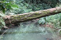 IMG_3930