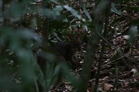 IMG_3935