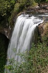 IMG_3940